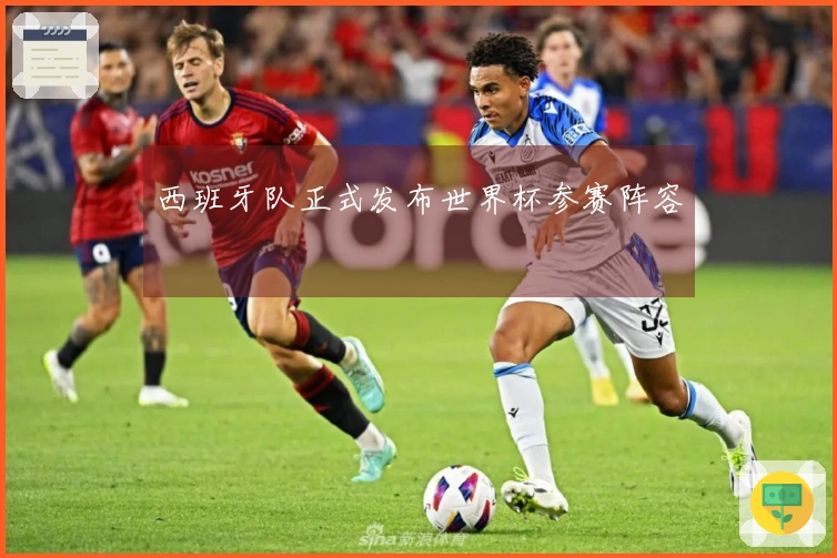 西班牙队正式发布世界杯参赛阵容